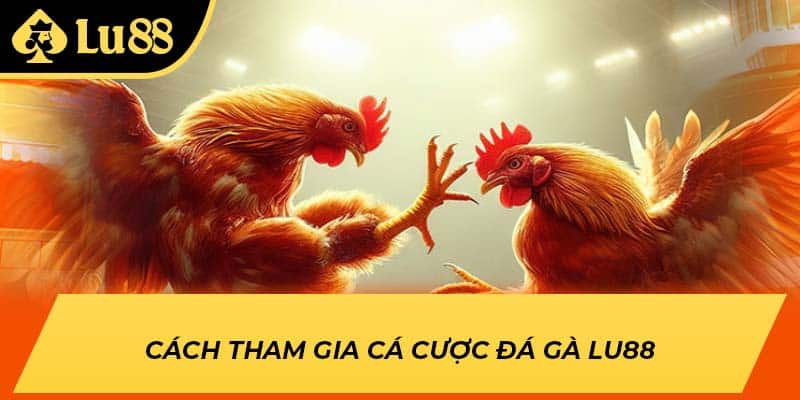 Cách tham gia cá cược đá gà LU88
